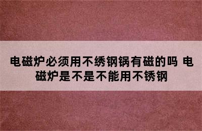 电磁炉必须用不绣钢锅有磁的吗 电磁炉是不是不能用不锈钢